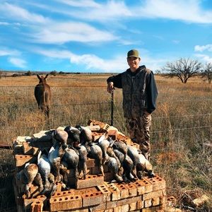 Meet your Posher, Connor